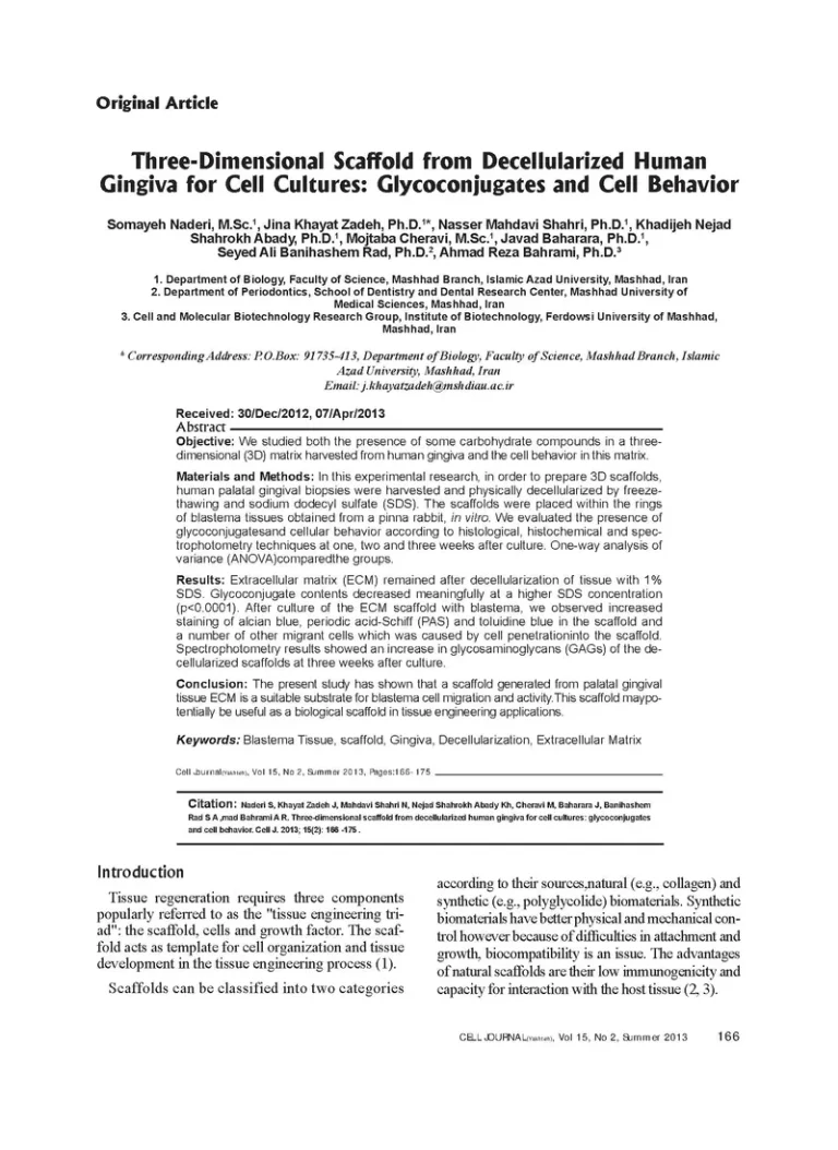 Three-Dimensional Scaffold from Decellularized Human Gingiva for Cell Cultures: Glycoconjugates and Cell Behavior