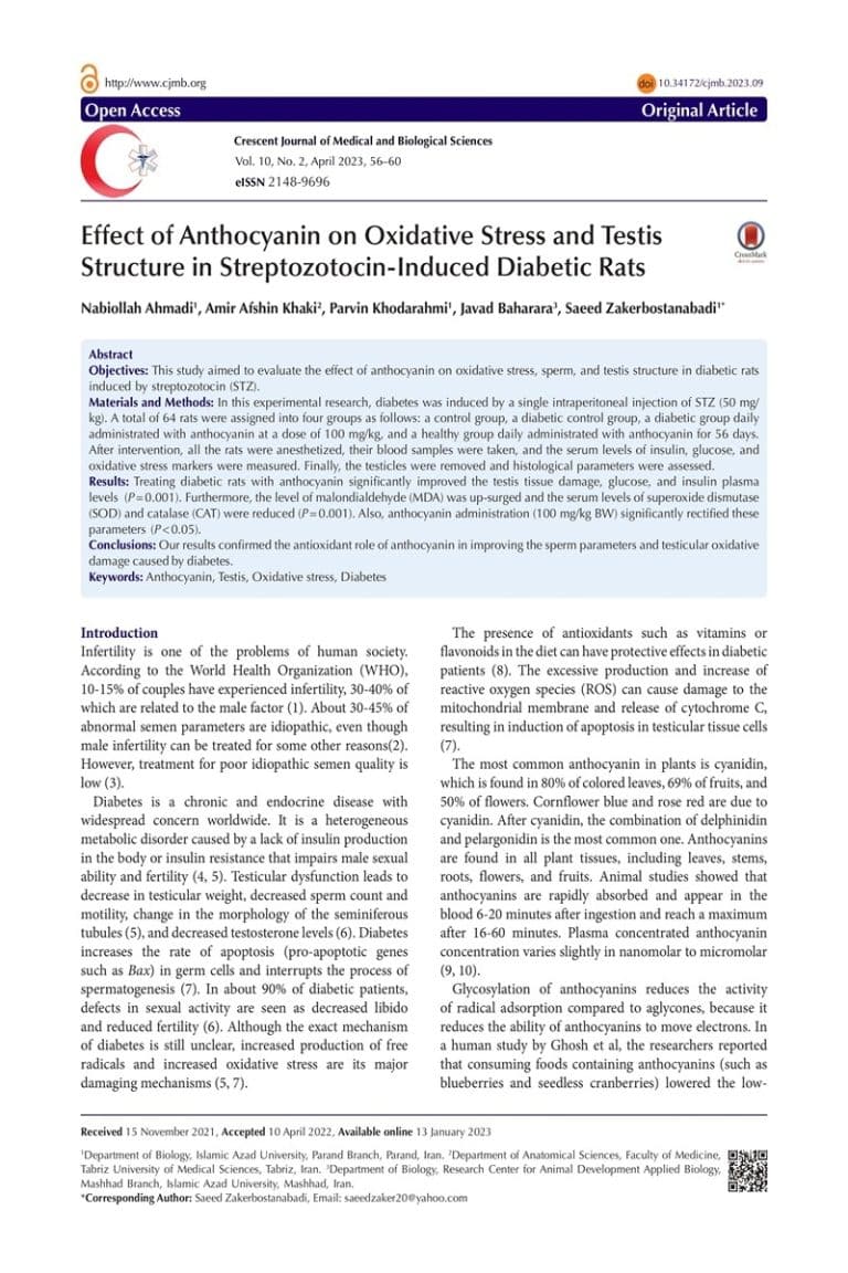 ffect of anthocyanin on oxidative stress and testis structure in streptozotocin-induced diabetic rats