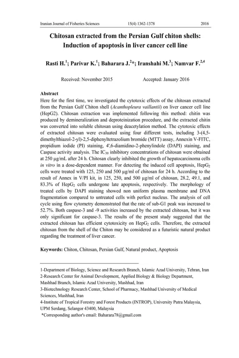 Chitosan extracted from the Persian Gulf chiton shells: Induction of apoptosis in liver cancer cell line